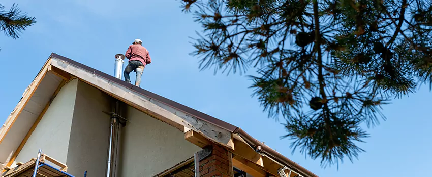 Birds Removal Contractors from Chimney in Glassmanor, MD