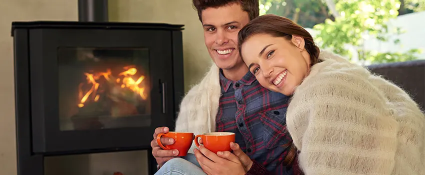 Regency Traditional Fireplace Products Maintenance and Repair in Glassmanor, Maryland
