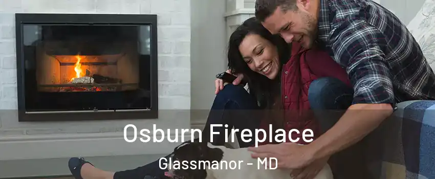  Osburn Fireplace Glassmanor - MD